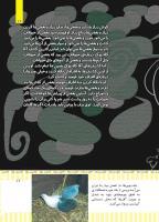 مجله کودک 498 صفحه 17