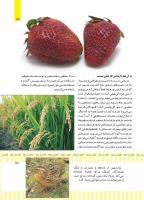 مجله کودک 498 صفحه 15