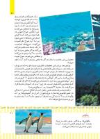 مجله کودک 498 صفحه 21