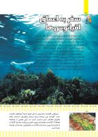 مجله کودک 498 صفحه 20