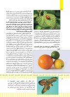 مجله کودک 498 صفحه 12