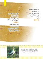 مجله کودک 498 صفحه 7