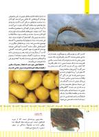 مجله کودک 498 صفحه 14