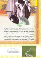 مجله کودک 498 صفحه 4