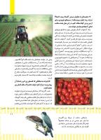 مجله کودک 498 صفحه 11