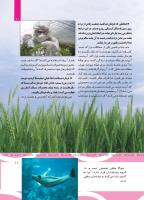 مجله کودک 499 صفحه 11