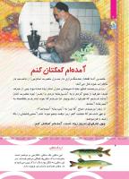 مجله کودک 499 صفحه 4