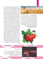 مجله کودک 499 صفحه 14