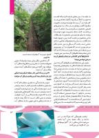 مجله کودک 499 صفحه 13