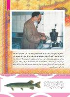 مجله کودک 499 صفحه 5