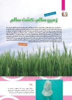 مجله کودک 499 صفحه 10