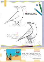 مجله کودک 501 صفحه 37