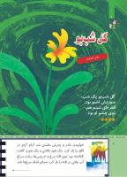 مجله کودک 504 صفحه 6