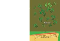 مجله کودک 504 صفحه 44