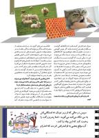 مجله کودک 506 صفحه 13