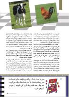 مجله کودک 506 صفحه 12