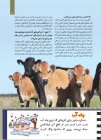 مجله کودک 506 صفحه 11
