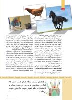 مجله کودک 507 صفحه 14