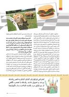 مجله کودک 507 صفحه 12