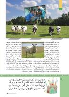 مجله کودک 508 صفحه 14
