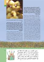مجله کودک 508 صفحه 11