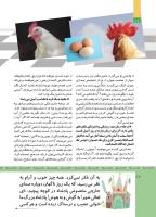 مجله کودک 508 صفحه 12