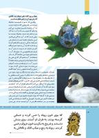 مجله کودک 513 صفحه 14