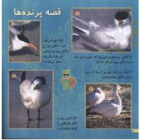 مجله خردسال 40 صفحه 20