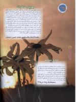 مجله نوجوان 41 صفحه 10