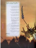 مجله نوجوان 41 صفحه 11
