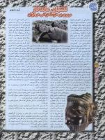مجله نوجوان 41 صفحه 32