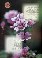مجله نوجوان 43 صفحه 23