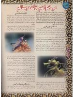مجله نوجوان 43 صفحه 12