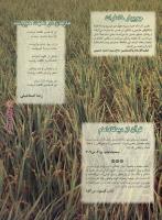 مجله نوجوان 44 صفحه 11