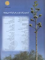 مجله نوجوان 45 صفحه 34