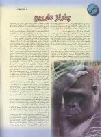 مجله نوجوان 45 صفحه 8