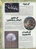 مجله نوجوان 46 صفحه 19