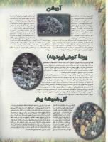 مجله نوجوان 46 صفحه 18