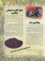 مجله نوجوان 46 صفحه 17