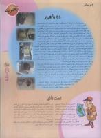 مجله نوجوان 55 صفحه 25