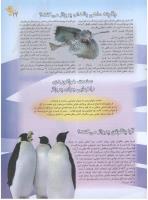 مجله نوجوان 58 صفحه 19