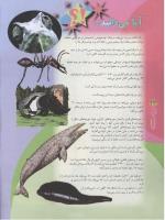 مجله نوجوان 58 صفحه 24