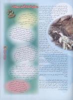 مجله نوجوان 59 صفحه 29
