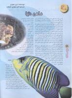 مجله نوجوان 59 صفحه 28
