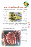 مجله نوجوان 60 صفحه 30