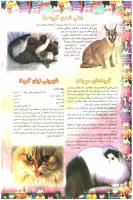 مجله نوجوان 60 صفحه 16