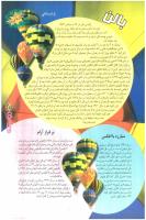 مجله نوجوان 60 صفحه 25
