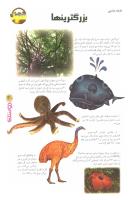 مجله نوجوان 60 صفحه 31