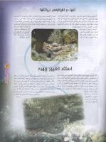مجله نوجوان 101 صفحه 7