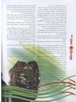 مجله نوجوان 105 صفحه 6
